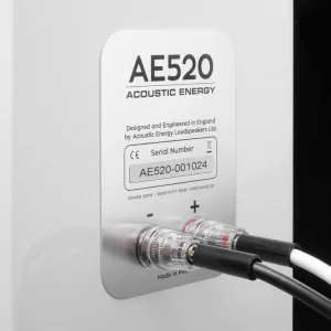 Напольная акустика Acoustic Energy AE520 Piano Gloss White