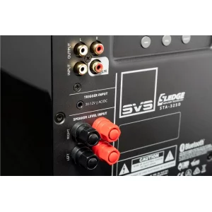 Сабвуфер SVS SB-1000 Pro Piano Black