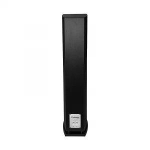 Напольная акустика Cabasse Java MC40 Brushed Black
