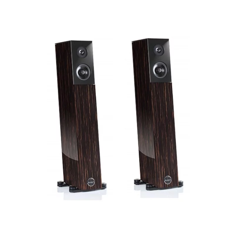 Напольная акустика Audio Physic Avanti Black Ebony High Gloss