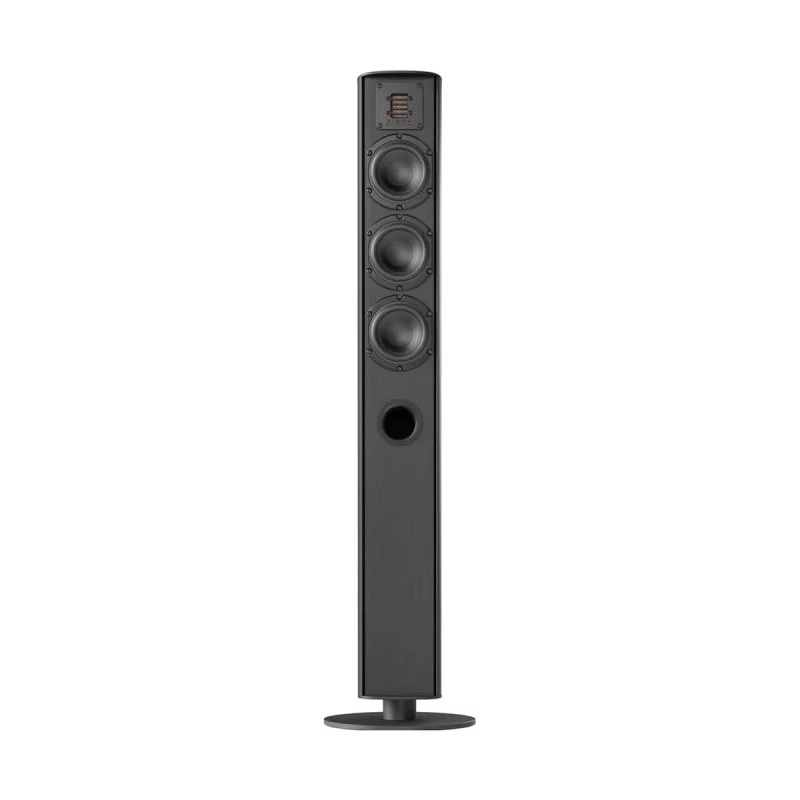 Напольная акустика Piega Ace 50 Black anodised aluminium