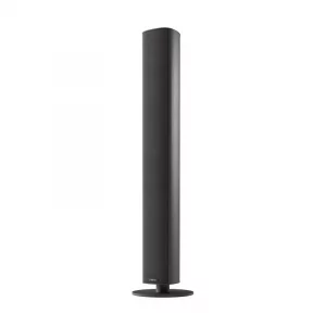 Напольная акустика Piega Ace 50 Black anodised aluminium