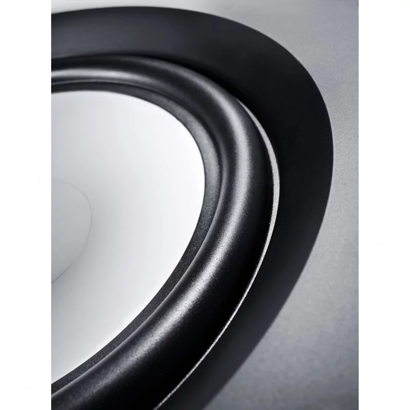 Встраиваемая акустика Canton InWall 989 white