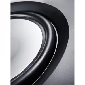 Встраиваемая акустика Canton InWall 989 white