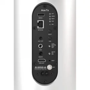 Напольная акустика Piega Ace 50 wireless RX White Gloss