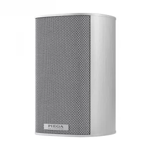 Полочная акустика Piega Ace 30 Silver Anodised Aluminium