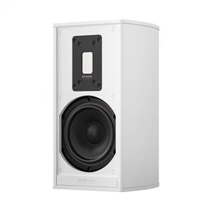 Полочная акустика Piega Premium 301 Wireless White Varnished Aluminium