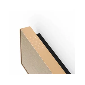 Саундбар Bang & Olufsen BeoSound STAGE Gold Tone