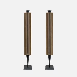 Напольная акустика Bang & Olufsen Beolab 18 Black, Front Lamella Oak